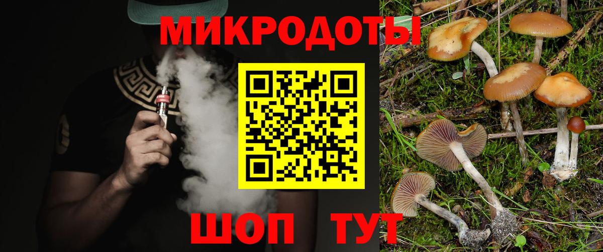 Сертолово  Галлюциногенные грибы мухоморы  Вход с VPN  Псилоцибиновые грибы Psilocybine cubensis 